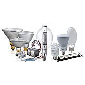 Bulbs and Ballasts