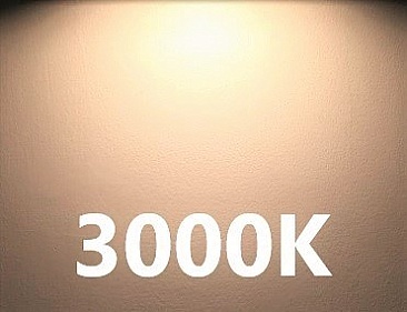 10W LED PAR30LN LAMP 3K DIMMABLE (5928)