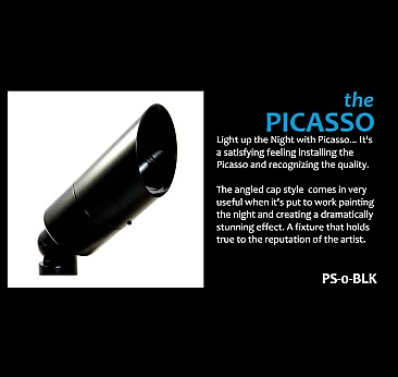 picasso spot light