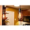 LOWELL CAGE PENDANT WITH LED BULB (60114)