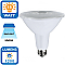 LED15PAR38/OD/120L/FL/950 NaturaLED 15W PAR38 LAMP 5K DIMMABLE (5931)